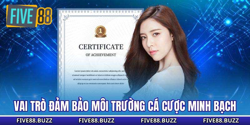 Vai trò đảm bảo môi trường cá cược minh bạch